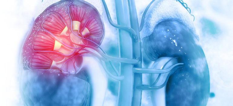 A saúde dos rins x insuficiência renal crônica